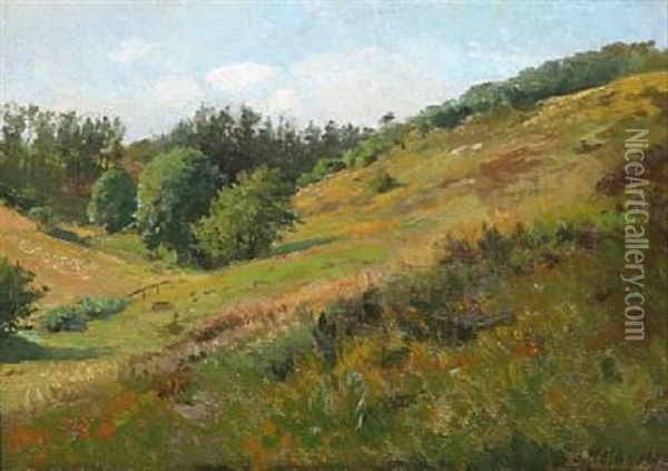A Hilly Landscape Oil Painting - Jacob Nobbe