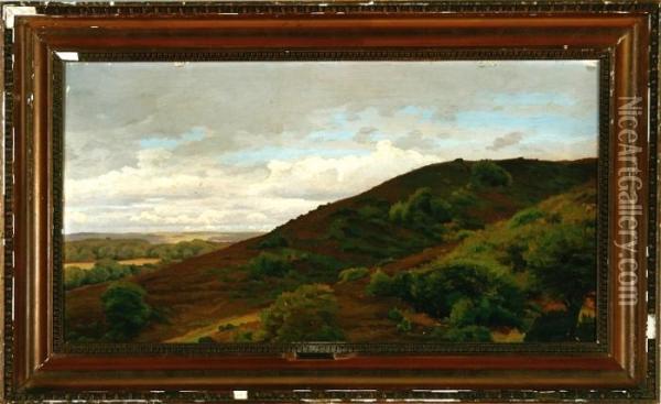 A Landscape From The Moor In Jutland, Denmark Oil Painting - Hans Ludvig Smidth