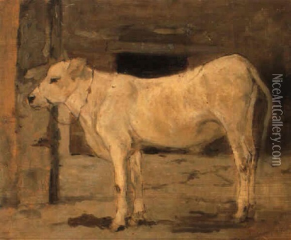 Vitellino Bianco Oil Painting - Giovanni Fattori