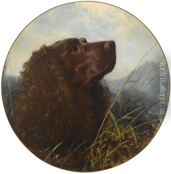 A Sussex Spaniel Oil Painting - George Earl