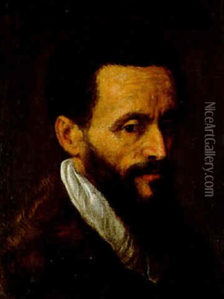 Portrait Of A Bearded Gentleman, Bust-length, In A Fur Coat And White Collar Oil Painting - Jacopo Palma il Giovane
