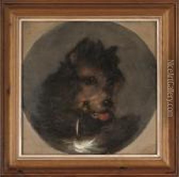 A Young Terrier Oil Painting - George Armfield