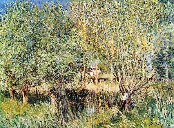 Willows on the Banks of the Orvanne Oil Painting - Alfred Sisley