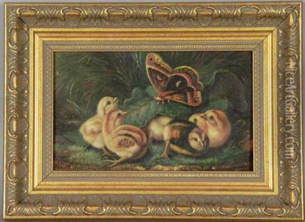 Of Four Chicks Oil Painting - Arthur Fitzwilliam Tait