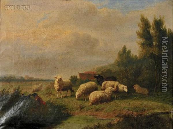 Grazing Sheep Oil Painting - Eugene Joseph Verboeckhoven