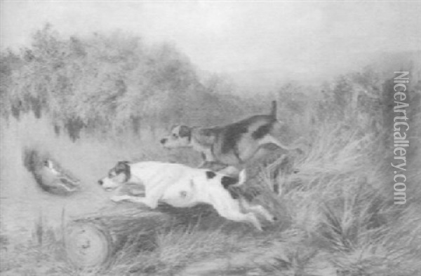 Two Terriers Chasing A Rabbit Oil Painting - Colin Graeme