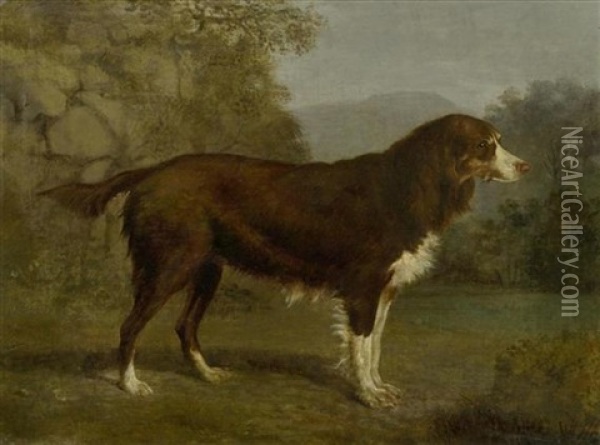 Hundeportrat In Einer Landschaft Oil Painting - Jacques-Laurent Agasse