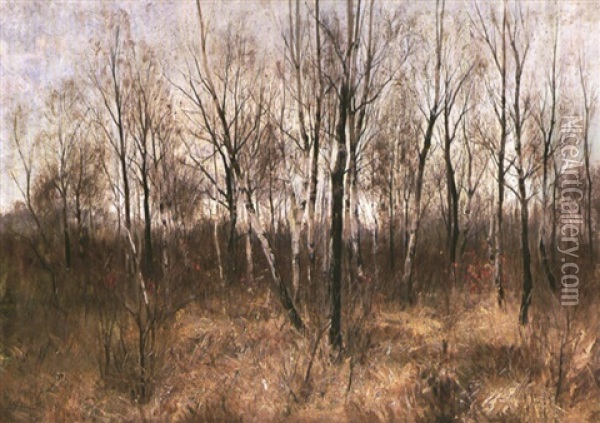 Herbstlicher Birkenwald Oil Painting - Arthur Langhammer