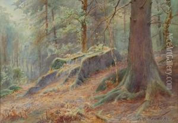 Bettws Woods Oil Painting - John A. Trench