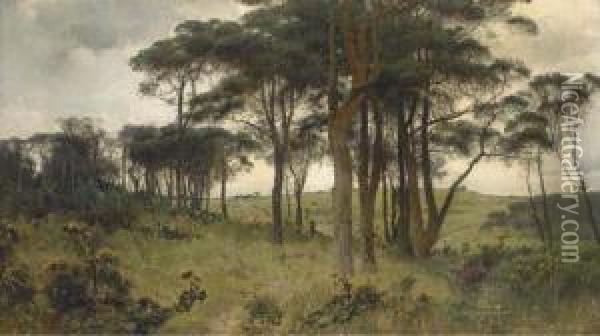 Wooded Landscape Oil Painting - Arvid Mauritz Lindstrom