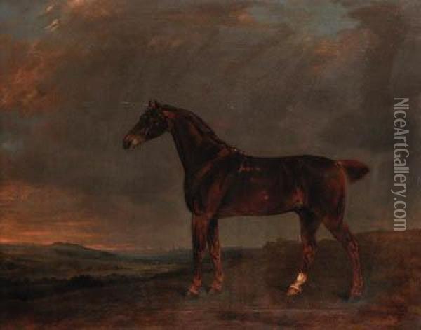 A Liver Chestnut In An Extensive Landscape Oil Painting - Edwin, Beccles Of Cooper