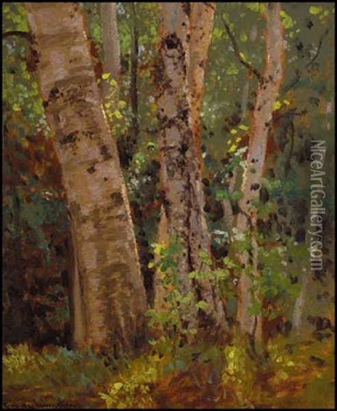 Group Of Birches Oil Painting - Francis Hans Johnston