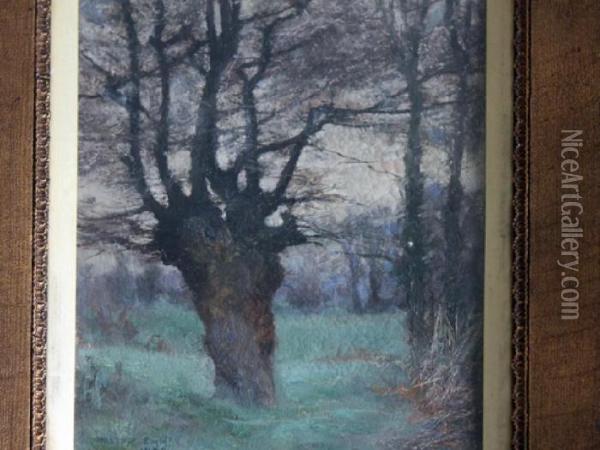 Forest Scene Oil Painting - Walter Emsley