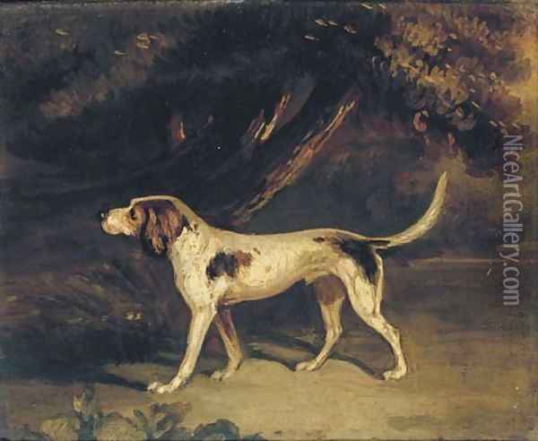 A favourite hound Oil Painting - John Samuel Raven
