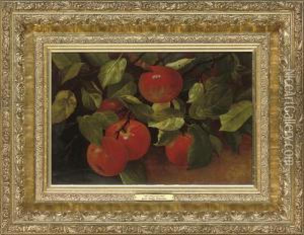 Ripe Apples Oil Painting - Levi Wells Prentice