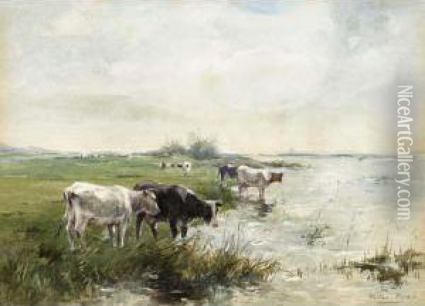 Watering Cows In A Polder Landscape Oil Painting - Willem Maris