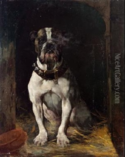 Bulldog Oil Painting - Frederico Olaria