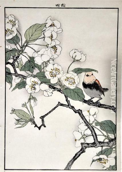Zweifarbholzschnitte: Vogel In Zweigen Oil Painting - Kono Bairei
