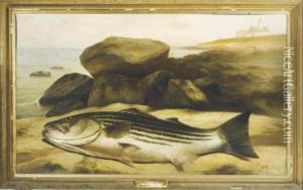 The Fish Oil Painting - Arnoud Wydeveld