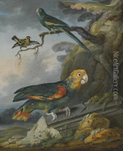 A Parrot, A Perroquet And A Gold Finch At The Base Of A Tree Oil Painting - Christophe Huet