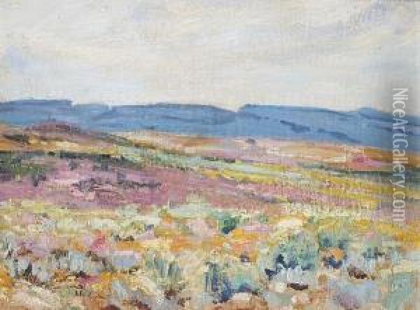 A Mountain Pass, Namaqualand Oil Painting - Hugo Pieter Naude