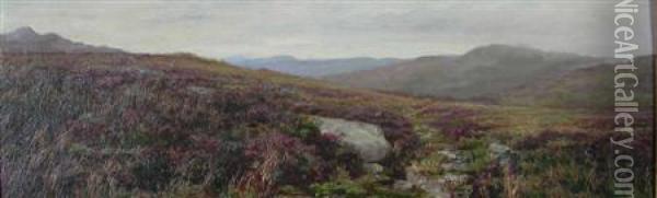 Heather In The Moorland Oil Painting - Edmund Morison Wimperis