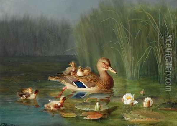 Wild Duck with its Ducklings (Villender) Oil Painting - Franz Boe