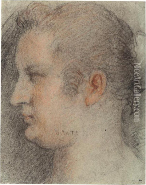 Study Of The Head Of A Woman Seen In Profile Oil Painting - Francesco Montemezzano