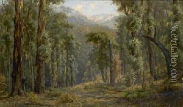 15 Months After A Bushfire, Plenty Ranges, Victoria Oil Painting - James Waltham Curtis