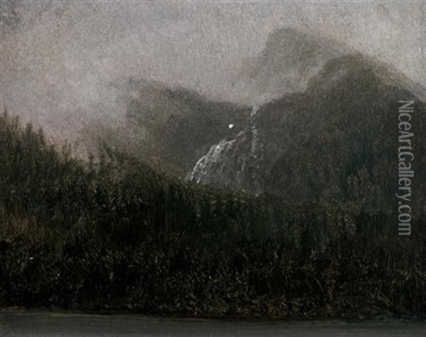 Mountain Tops And Firs Oil Painting - Albert Bierstadt