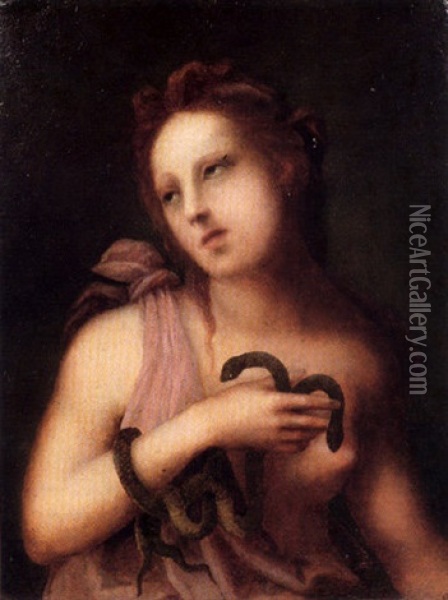 Cleopatre Oil Painting - Andrea del Brescianino
