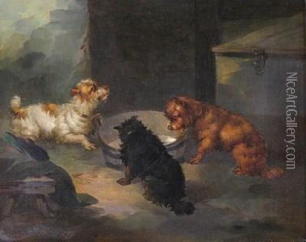 Three Terriers By A Barrel In A Barn Oil Painting - Paul Jones