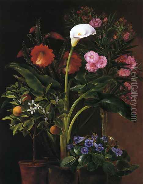 Still Life with Streptocarpus, Oleander, Calla Lily, Cactus Flowers and and Orange Tree Oil Painting - Louise Garlieb