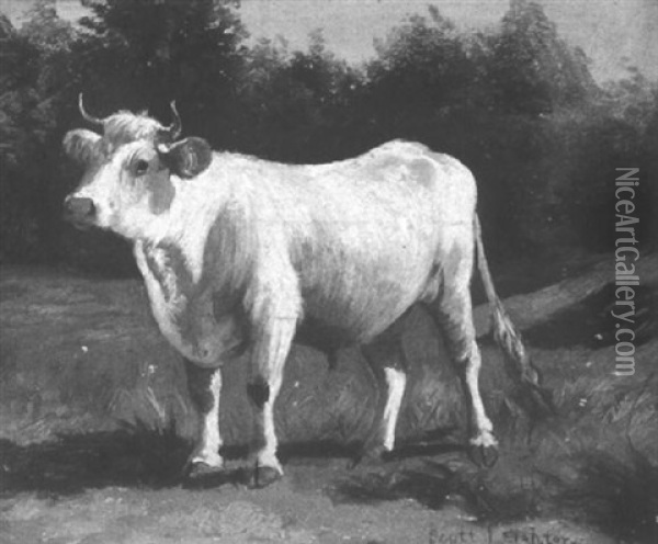 The White Bull Oil Painting - Scott Leighton
