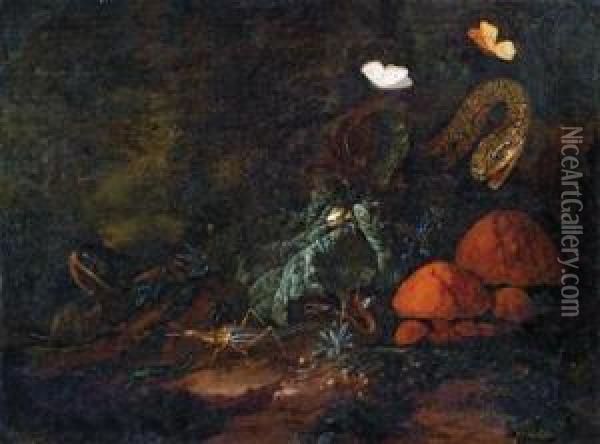 Natura Morta Nel Bosco Con Lumaca Oil Painting - Carl Wilhelm de Hamilton