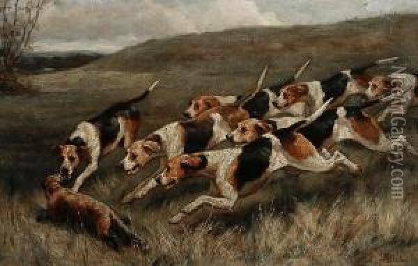 Hounds And Quarry Before The Kill Oil Painting - Alfred Duke