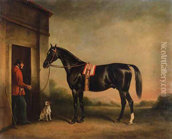 Vitellus, a black hunter, held by a groom, with a dog outside a stable Oil Painting - John Snr Ferneley