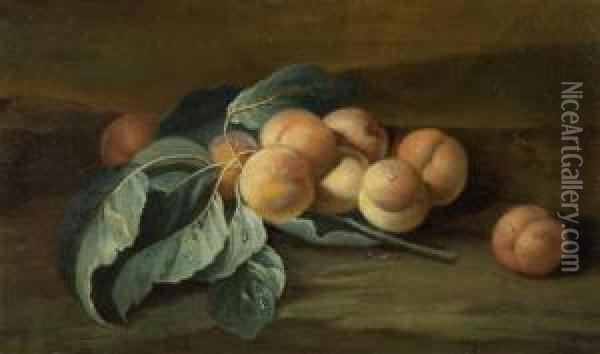 Still Life With Apricots Oil Painting - Maximillian Pfeiler