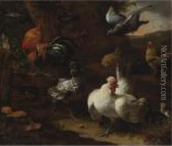 A Farmyard Scene With Poultry, Chicks And A Pigeon, A Wooded Landscape Beyond Oil Painting - Melchior de Hondecoeter