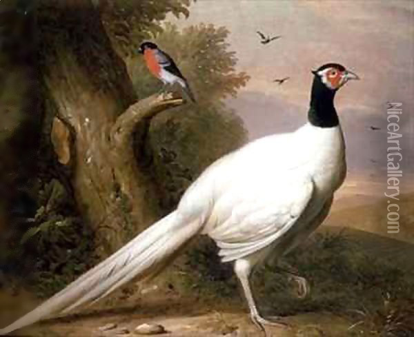 A White Pheasant in a Landscape Oil Painting - Giovanni Boggi