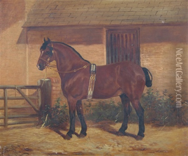 A Horse Standing By A Gate Oil Painting - Arthur Batt
