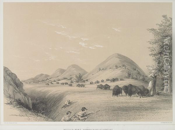 Buffalo Hunt, Approaching A Ravine Oil Painting - George Catlin