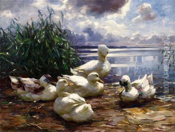 Ducks At The Shore Oil Painting - Alexander Max Koester
