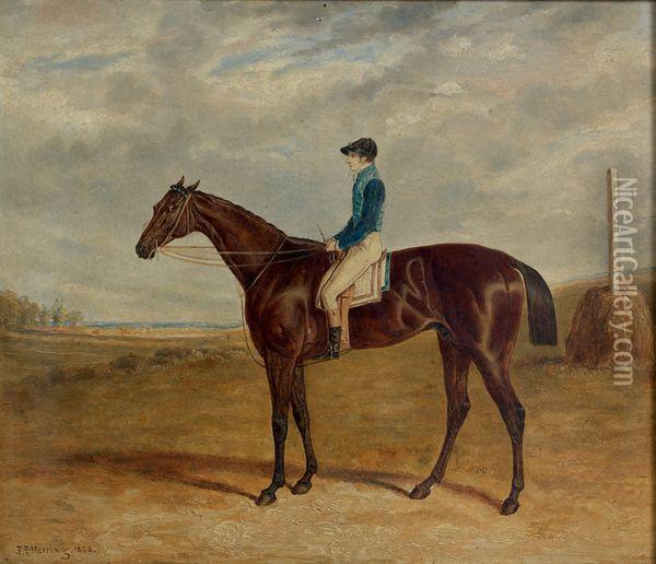 Jockey Sur Son Cheval Oil Painting - John Frederick Herring Snr
