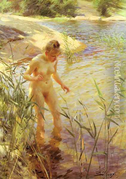 Reflexer (Reflexions) Oil Painting - Anders Zorn