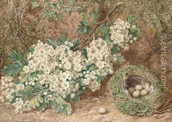 Still life of apple blossom and a bird's nest on a mossy bank Oil Painting - Thomas Collier