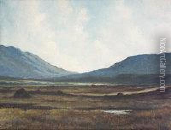 Erriff Valley, Connemara Oil Painting - Douglas Alexander
