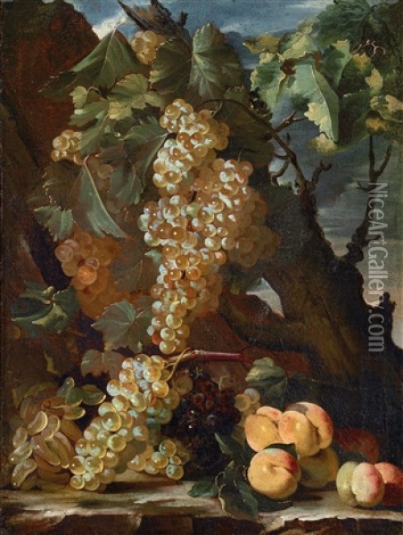 Still Life With Grapes And Peaches Oil Painting - Bartolomeo Castelli the Elder