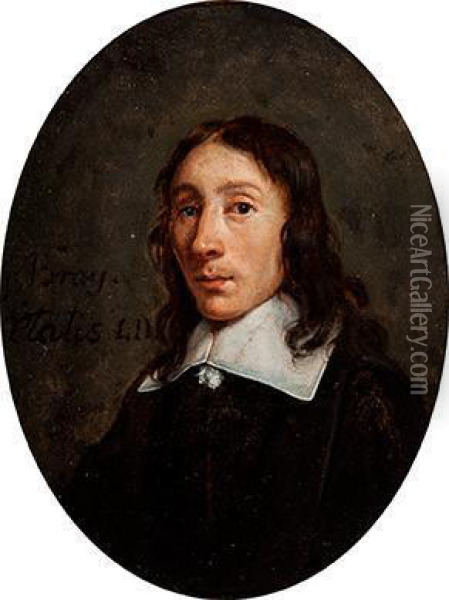 Portrait Of A Young Man In A Black Coatwith A Lace Collar Oil Painting - Jan De Bray
