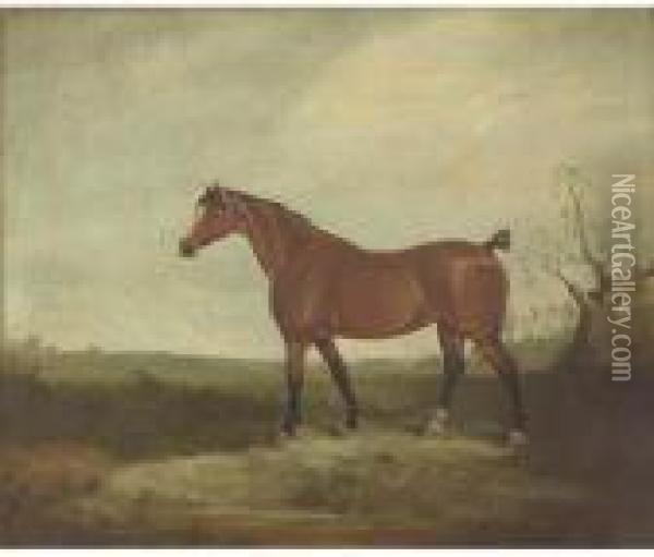 A Horse In A Landscape Oil Painting - Daniel Clowes